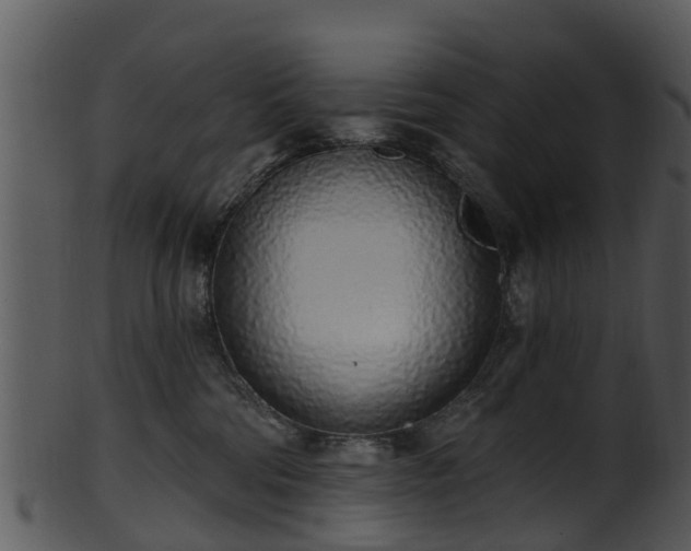 X0000101420330200807141200