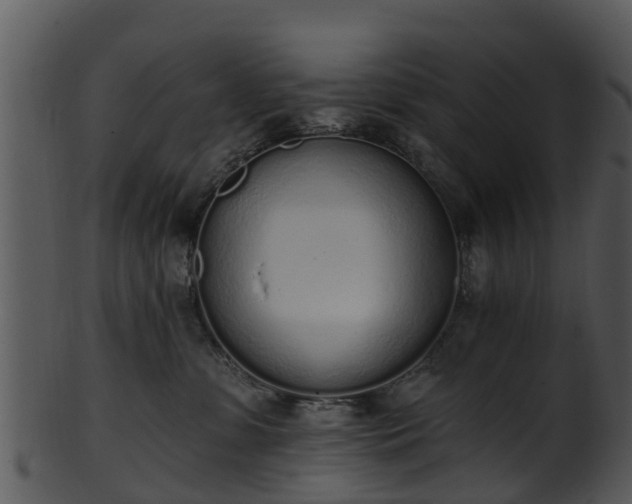 X0000101420331200807141200