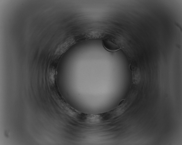 X0000101420334200807141200