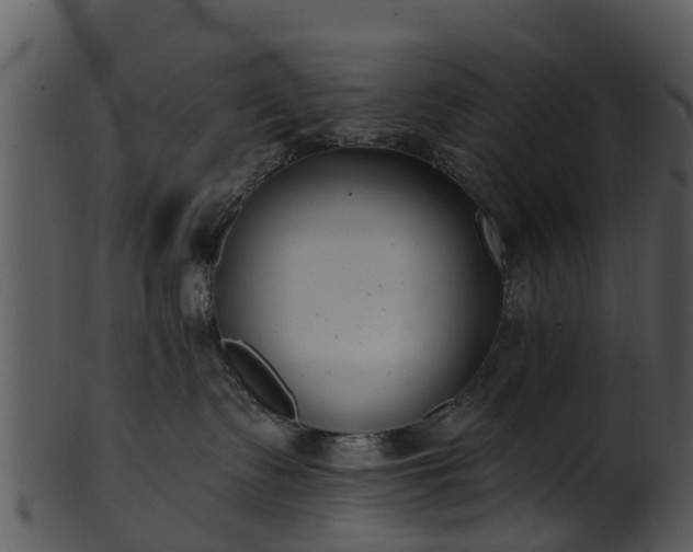 X0000101420335200807141200