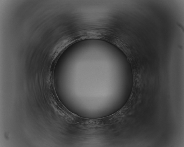X0000101420338200807141159