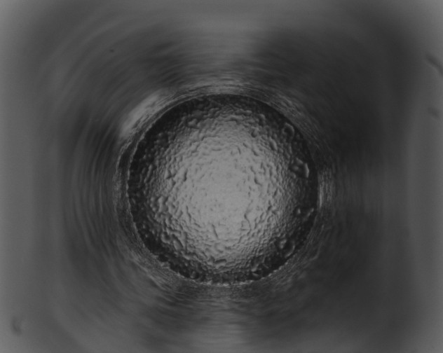 X0000101420339200807141159