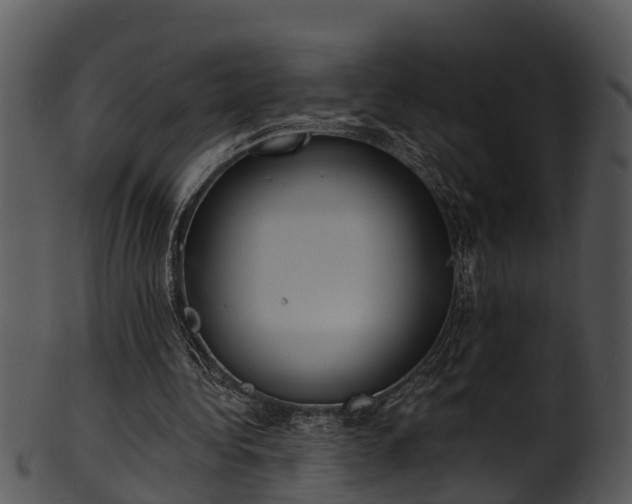 X0000101420340200807141159