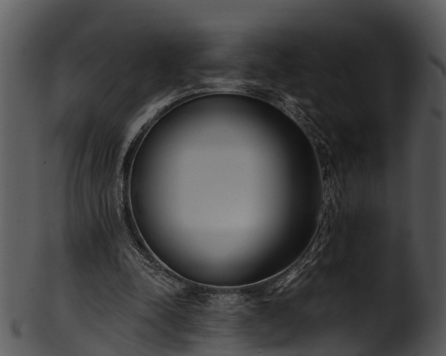 X0000101420342200807141159