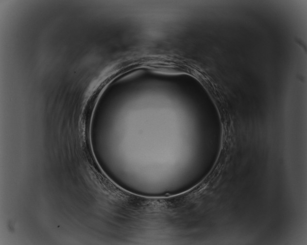 X0000101420343200807141159
