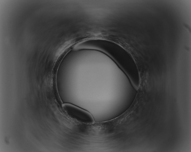 X0000101420344200807141159