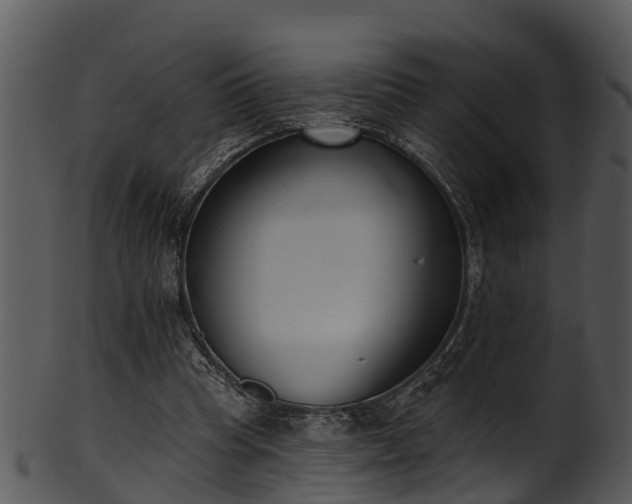 X0000101420345200807141159