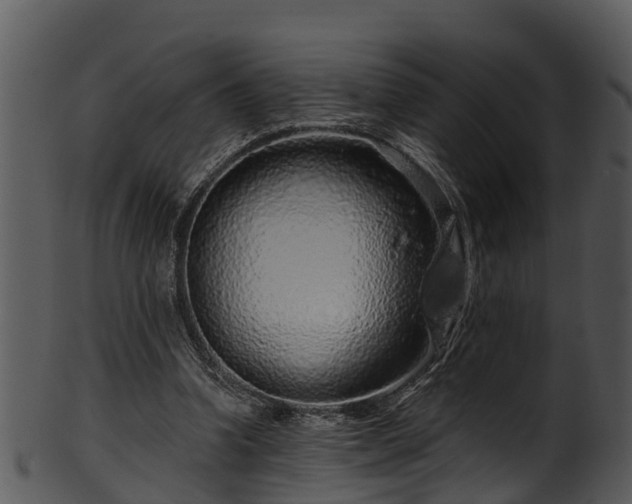 X0000101420346200807141159