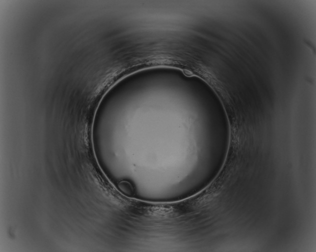 X0000101420347200807141159