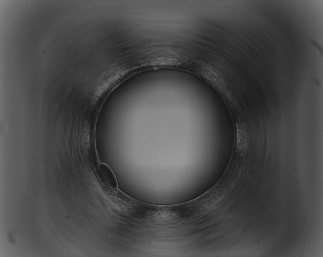 X0000101420348200807141159
