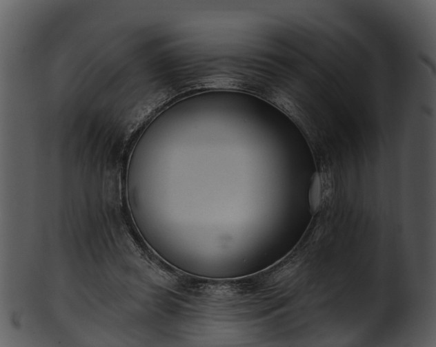 X0000101420349200807141159