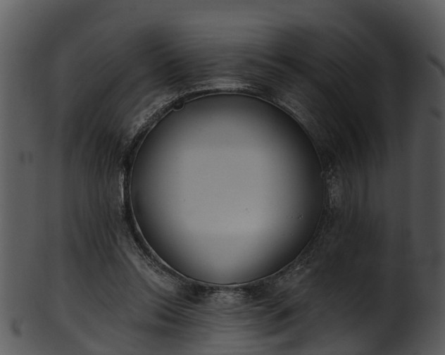 X0000101420350200807141159