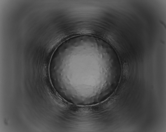 X0000101420351200807141159