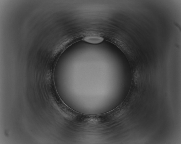 X0000101420352200807141159