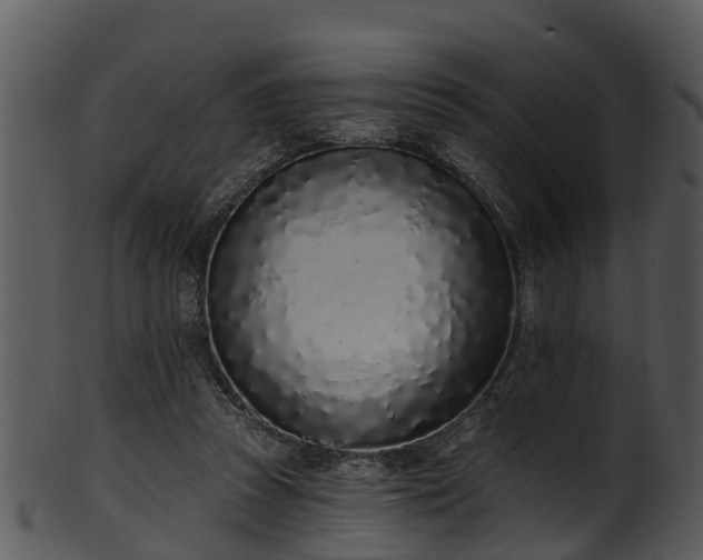 X0000101420353200807141159