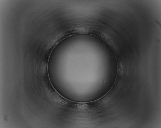 X0000101420355200807141159