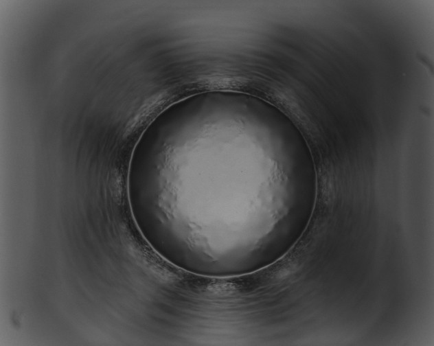 X0000101420357200807141159