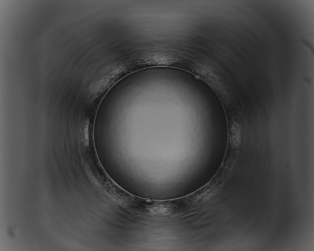 X0000101420358200807141159