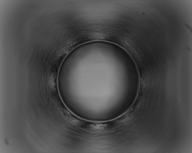 X0000101420359200807141159
