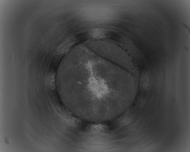 X0000101420360200807141159