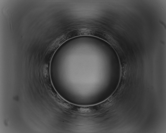 X0000101420361200807141159