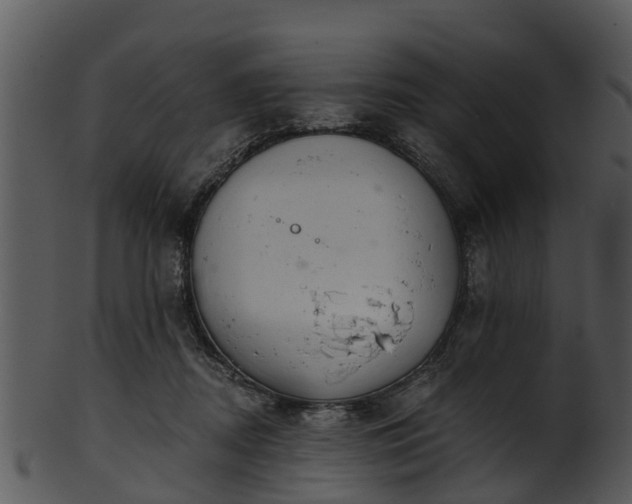 X0000101420362200807141159