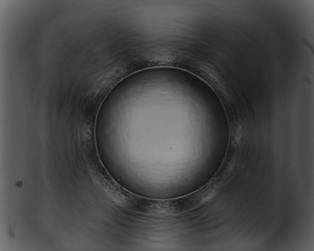 X0000101420365200807141200