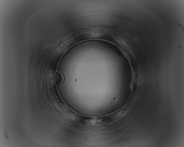 X0000101420366200807141200