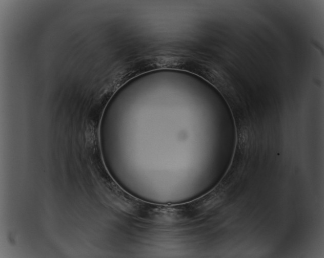 X0000101420367200807141200