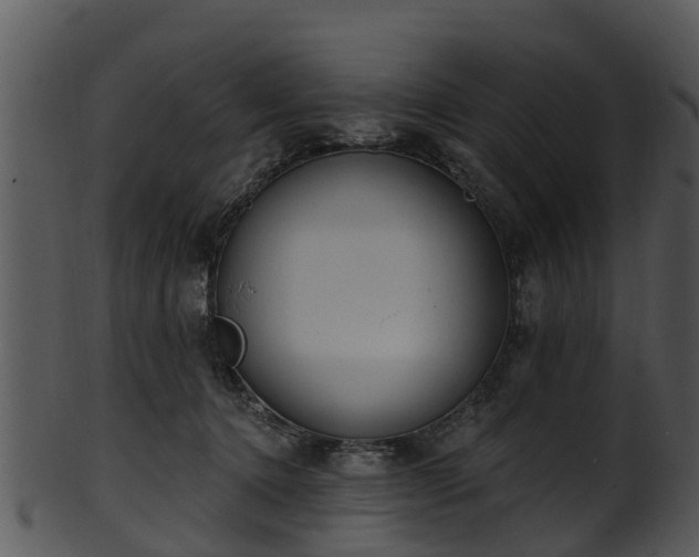 X0000101420368200807141200