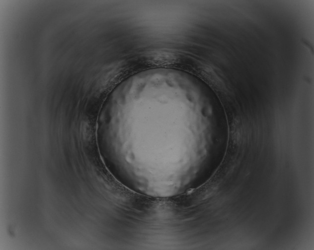X0000101420371200807141200