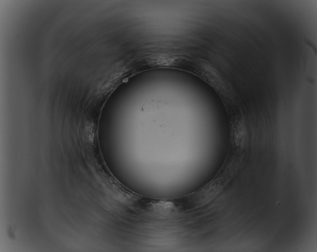 X0000101420374200807141200