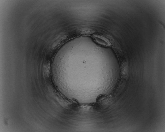X0000101420376200807141200