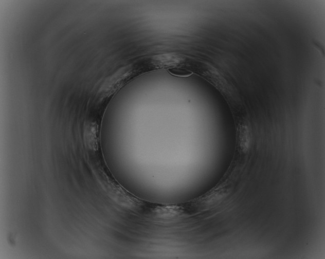X0000101420378200807141200