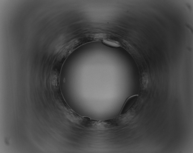X0000101420379200807141200