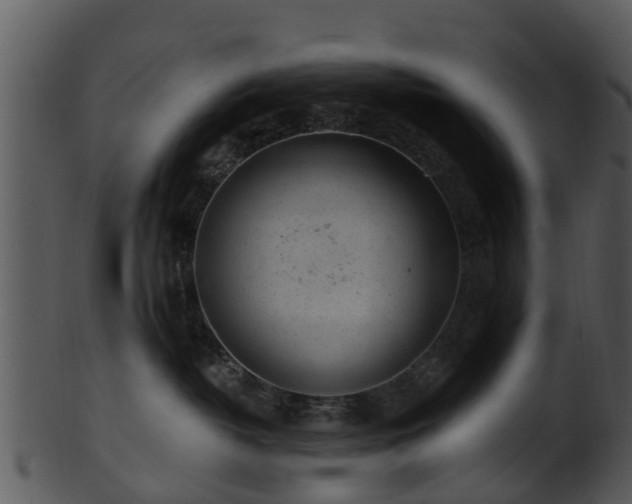 X0000101420382200807141200