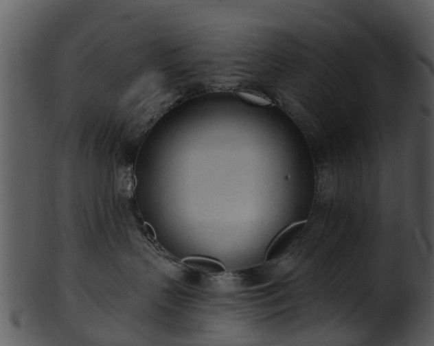 X0000101420383200807141200