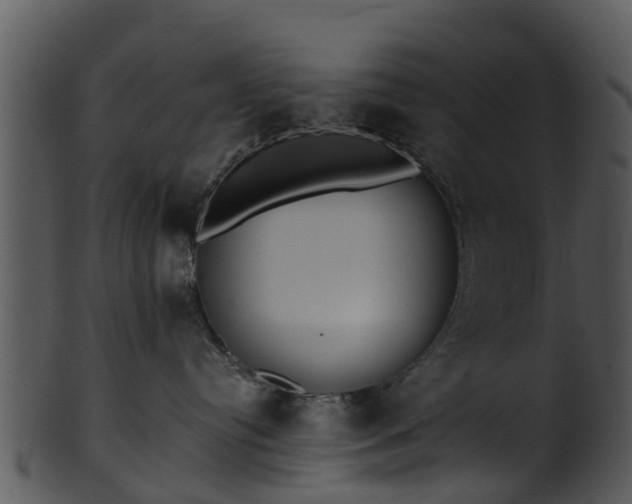 X0000101420384200807141200