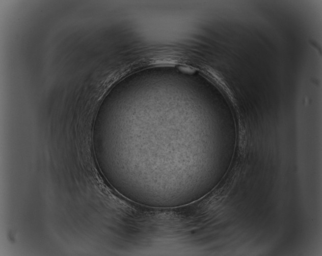 X0000101420385200807141159