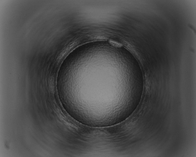 X0000101420386200807141159