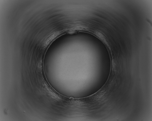 X0000101420389200807141159