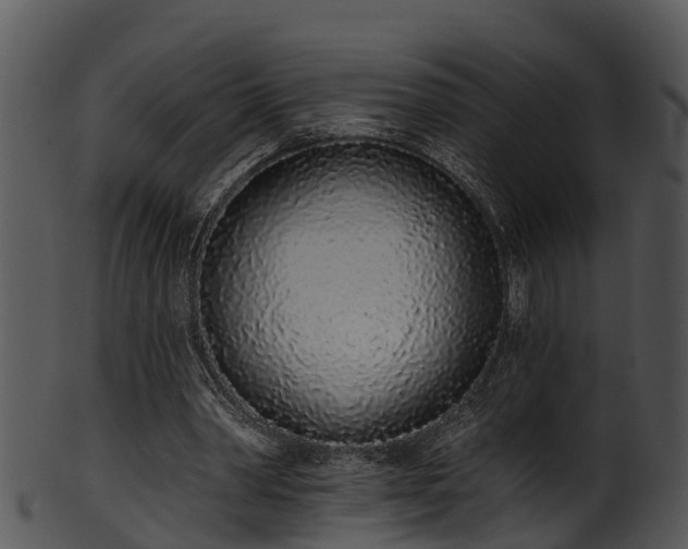 X0000101420390200807141159