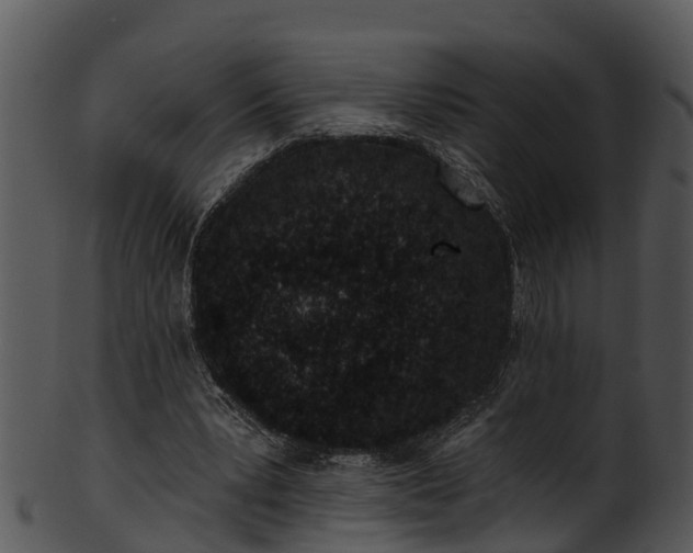 X0000101420391200807141159