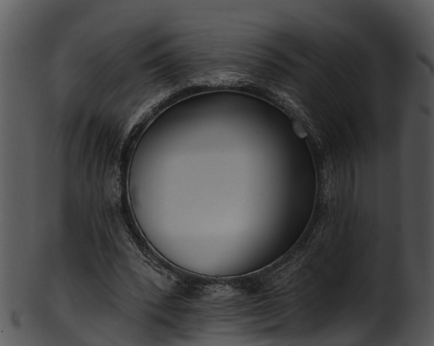 X0000101420392200807141159