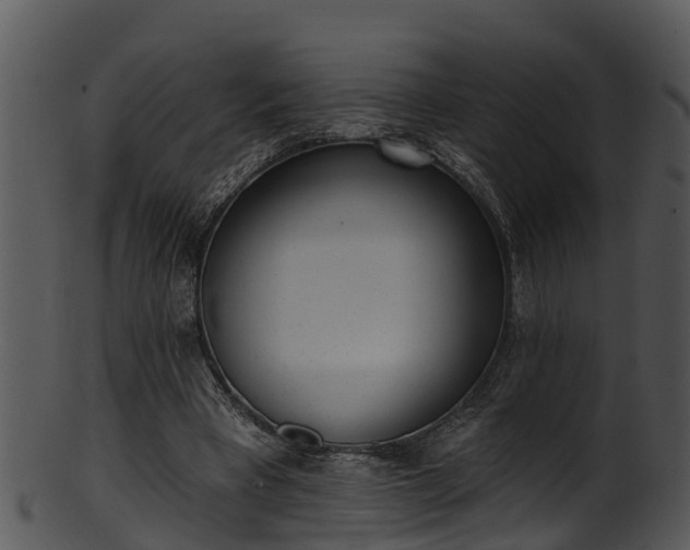 X0000101420393200807141159
