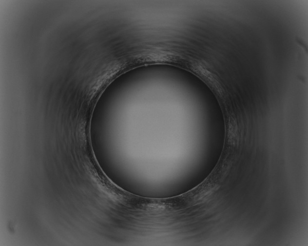 X0000101420394200807141159