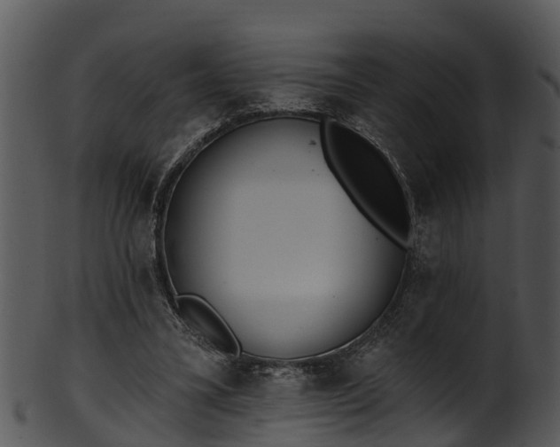 X0000101420395200807141159