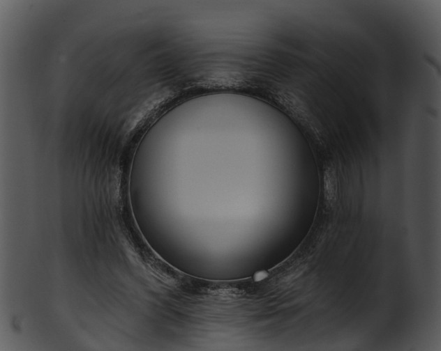 X0000101420396200807141159