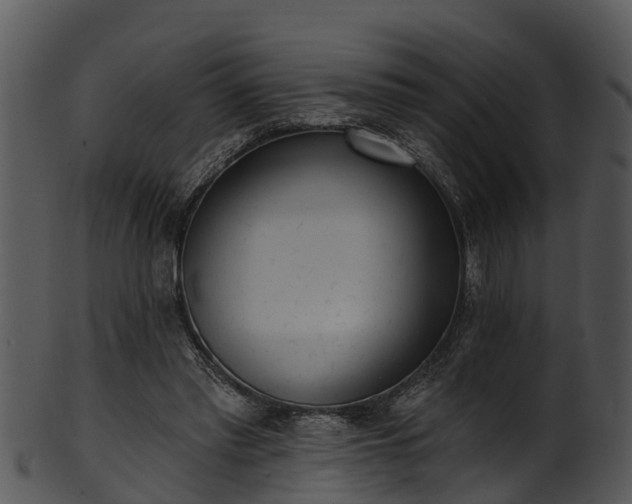 X0000101420397200807141159