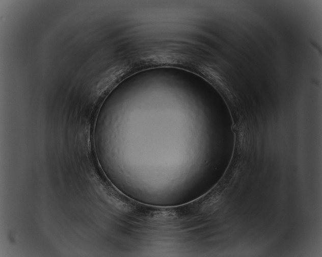 X0000101420398200807141159
